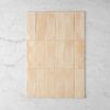Stanmore Gloss Subway Bone Tile