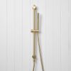 Straight Hand Shower + Adjustable Rail Brushed Brass