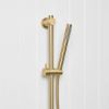 Straight Hand Shower + Adjustable Rail Brushed Brass
