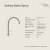 Sydney Basin Spout Brushed Brass