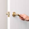 Sydney Door Handle Brushed Brass