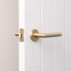 Sydney Door Handle Brushed Brass