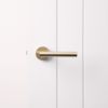 Sydney Door Handle Warm Brushed Nickel