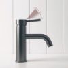 Sydney Short Basin Mixer Gunmetal