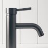 Sydney Short Basin Mixer Gunmetal
