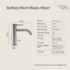 Sydney Short Basin Mixer Stainless Steel