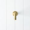 Sydney Short Wall Spout Brushed Brass