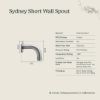 Sydney Short Wall Spout Stainless Steel