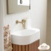 Sydney Short Wall Spout Warm Brushed Nickel
