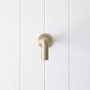 Sydney Short Wall Spout Warm Brushed Nickel
