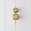 Sydney Shower Diverter and Mixer Brushed Brass