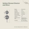 Sydney Shower Diverter and Mixer Brushed Brass