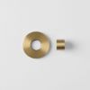 Sydney Wall & Swivel Spout Aerator Brushed Brass