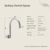 Sydney Swivel Spout Brushed Brass