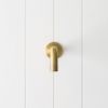Sydney Wall Spout Brushed Brass