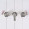 Sydney Wall Spout + Round Taps Stainless Steel