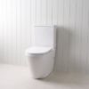 Angled Back-To-Wall Toilet Suite