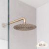 Wall Shower Arm and Head Warm Brushed Nickel 250mm