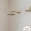 Wall Shower Arm and Head Warm Brushed Nickel 250mm