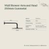 Wall Shower Arm And Head Gunmetal 250mm