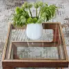 Picture of Modern Glass Side Table with 3 Tiers S-shaped End Table in Walnut