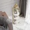Modern Bird Cage Shaped Plant Flower Stand Bathroom Storage Tower Gold Bookcase