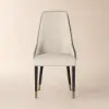 Diamic Gray Faux Leather Dining Chairs with Upholstered, 2 Pieces