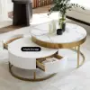 Nesnesis Modern Round Sintered Stone Nesting Wood Coffee Table with Drawers in White