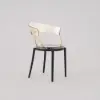 Modern Acrylic Dining Chair in Amber Dining Table Chairs with Arms