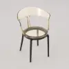 Modern Acrylic Dining Chair in Amber Dining Table Chairs with Arms