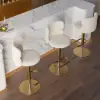 Modern Warm White Velvet Swivel Bar Stool with Adjustable Height, 1 Piece