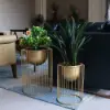 Picture of 400mm Modern Flower Stand Gold Plant Stand for Indoors Modern Flower Stand in Small
