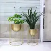 Picture of 400mm Modern Flower Stand Gold Plant Stand for Indoors Modern Flower Stand in Small