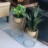 Picture of 400mm Modern Flower Stand Gold Plant Stand for Indoors Modern Flower Stand in Small