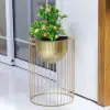 Picture of 400mm Modern Flower Stand Gold Plant Stand for Indoors Modern Flower Stand in Small