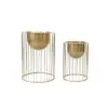Picture of 400mm Modern Flower Stand Gold Plant Stand for Indoors Modern Flower Stand in Small