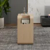 Modern 610 mm Natural Multi-Purpose End Table with Magazine Rack