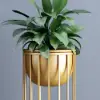 600mm Gold Plant Pot Indoor Modern Metal Planter with Gold Stand for Living Room