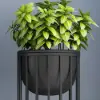 Picture of 600mm Black Plant Pot Indoor Modern Metal Planter with Stand for Living Room