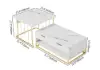Rectangle 2-Piece Nesting Set White Coffee Table with Metal Base and Storage
