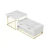 Rectangle 2-Piece Nesting Set White Coffee Table with Metal Base and Storage