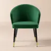 Arcora Green Velvet Dining Chair with Upholstered, 1 Piece