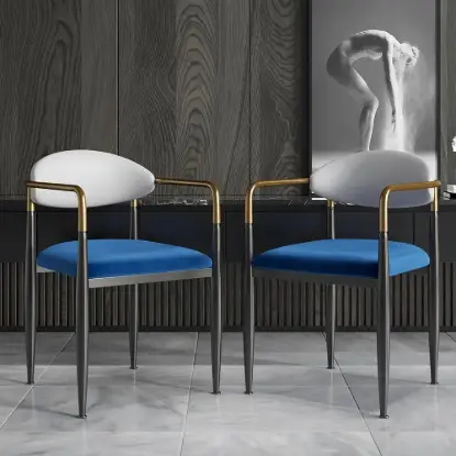 Picture of Otrast Series Set of 2 Modern Dining Chairs Upholstered in White and Blue