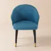 Arcora Greenish Blue Velvet Dining Chair with Upholstered, 1 Piece