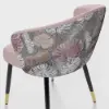 Arcora Pink Velvet Dining Chair with Upholstered, 1 Piece