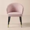 Arcora Pink Velvet Dining Chair with Upholstered, 1 Piece