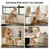 Picture of Sweave Off-White Velvet Dining Chair with Upholstered, 1 Piece