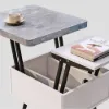 Modern 55 - 110 cm Gray Lift-Top Extendable Coffee Table with Storage