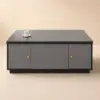 Modern Grey Multifunctional Rectanglular Lift-top Coffee Table with Storage