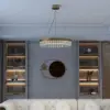 Fixedo Modern Glass Chandelier with Round Frame in Brass and Adjustable Cables